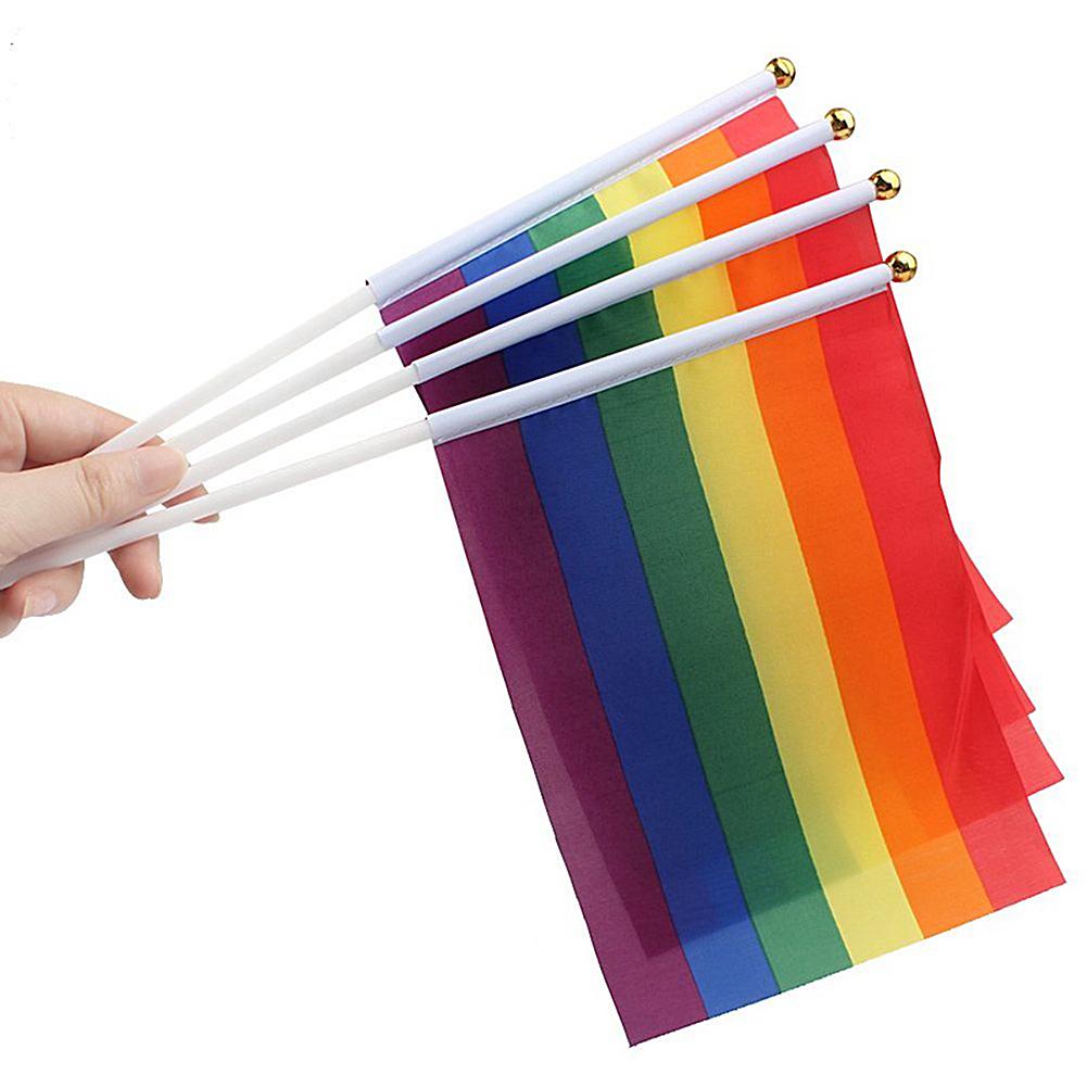 Mini Pride Flag
